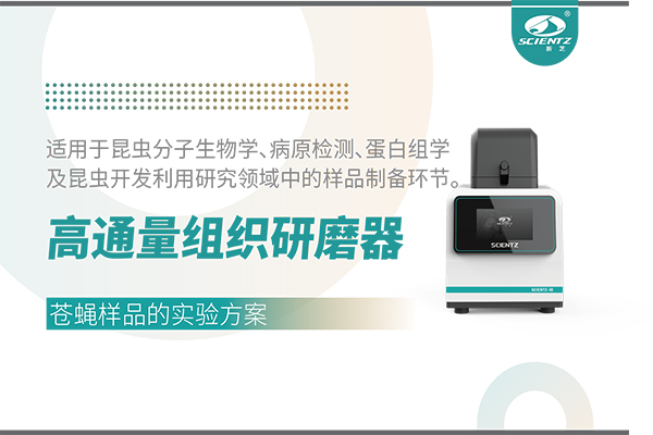 高通量組織研磨器處理蒼蠅樣品的實(shí)驗(yàn)方案