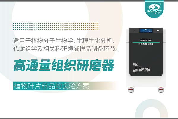 冷凍型高通量組織研磨器處理植物葉片的實(shí)驗(yàn)方案