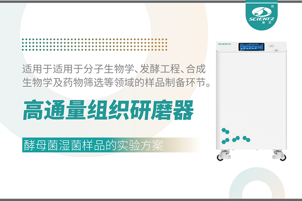冷凍型高通量組織研磨器處理酵母菌濕菌體的實(shí)驗(yàn)方案
