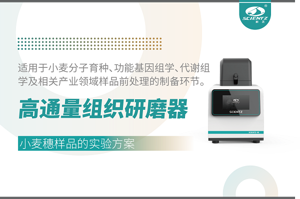 高通量組織研磨器在谷物樣品前處理中的應(yīng)用——以小麥穗為例