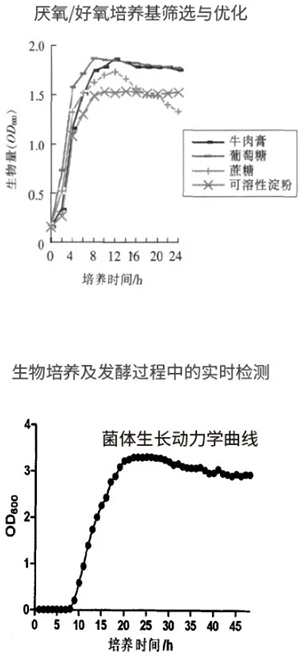 過程安全，結果精準