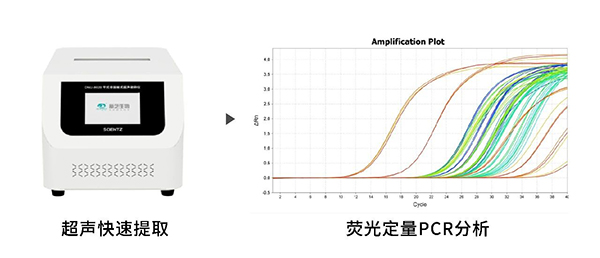 超聲快速提取